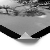 Elegant Red Rose Poster (Hoek)