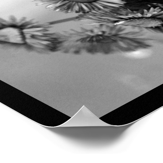 Elegant Red Rose Poster (Hoek)