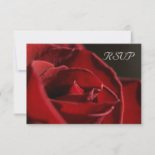 Elegant Red Rose Wedding RSVP Response Kaart
