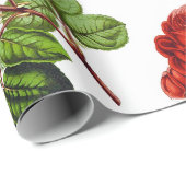 Elegant Red Roses Floral Flowers Patroon | Cadeaupapier (Rol Hoek)