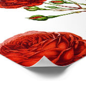 Elegant Red Roses Floral Flowers Patroon | Poster (Hoek)