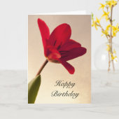 Elegant Red Tulip Birthday Kaart (Gele Bloem)