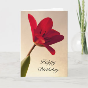 Elegant Red Tulip Birthday Kaart