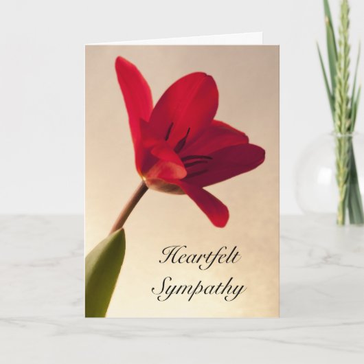 Elegant Red Tulip Sympathie Kaart (Voorkant)