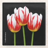 Elegant Red White Maple Leaf Tulips Glazen Onderzetter (Voorkant)
