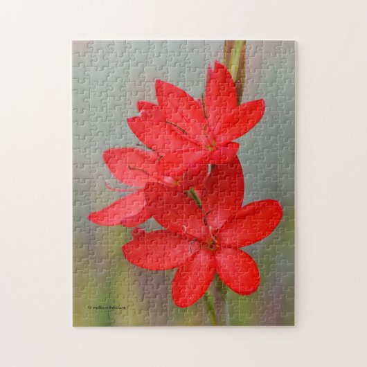 Elegant River Lily/Crimson Flag Red Flowers Legpuzzel (Verticaal)