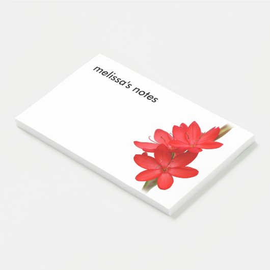 Elegant River Lily/Hesperantha Coccinea Post-it® Notes (Schuin)