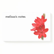 Elegant River Lily/Hesperantha Coccinea