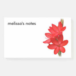 Elegant River Lily/Hesperantha Coccinea Post-it® Notes