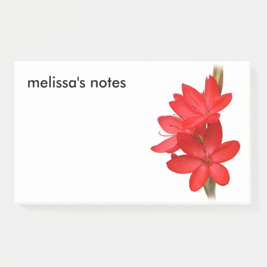 Elegant River Lily/Hesperantha Coccinea Post-it® Notes (Voorkant)