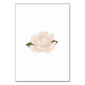 Elegant Romantic Blush Pink Floral Blossom Kaart (Achterkant)