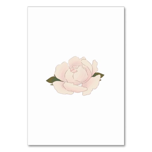 Elegant Romantic Blush Pink Floral Blossom Kaart (Achterkant)