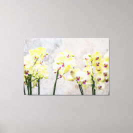 Elegant Romantic Cream & Lila Orchids Canvas Afdruk