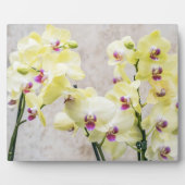 Elegant Romantic Cream & Lila Orchids Fotoplaat (Voorkant)