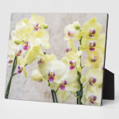 Elegant Romantic Cream & Lila Orchids Fotoplaat (Zijkant)