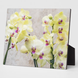 Elegant Romantic Cream & Lila Orchids Fotoplaat