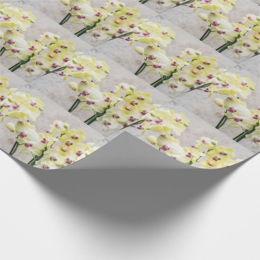 Elegant Romantic Cream & Lila Orchids in stijl wi Cadeaupapier (Hoek)