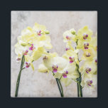 Elegant Romantic Cream & Lila Orchids Magneet<br><div class="desc">Steek dingen in stijl met dit stijlvolle,  elegante Romantische Cream en Lila Orchideeën design.</div>