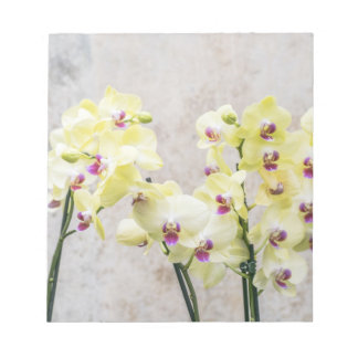 Elegant Romantic Cream & Lila Orchids Notitieblok