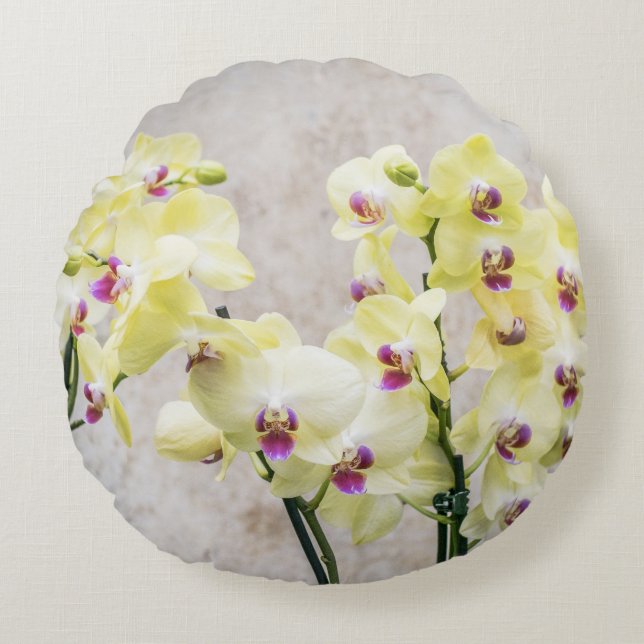 Elegant Romantic Cream & Lila Orchids Rond Kussen (Voorkant)