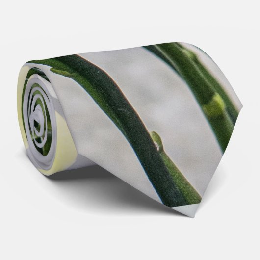 Elegant Romantic Cream & Lila Orchids Stropdas (Opgerold)