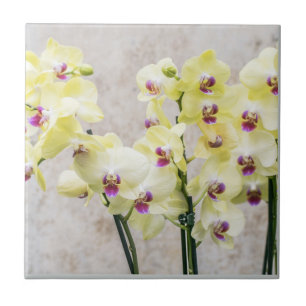 Elegant Romantic Cream & Lila Orchids Tegeltje