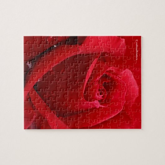 Elegant Romantic Red Rose Legpuzzel (Horizontaal)