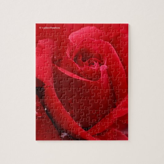 Elegant Romantic Red Rose Legpuzzel (Verticaal)