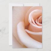 Elegant romantisch roze roze roze roze bloem Weduw Kaart (Achterkant)