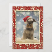 Elegant rood gouden twee foto's kerst flat feestdagenkaart (Achterkant)