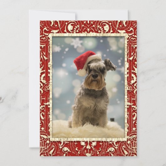 Elegant rood gouden twee foto's kerst flat feestdagenkaart (Achterkant)