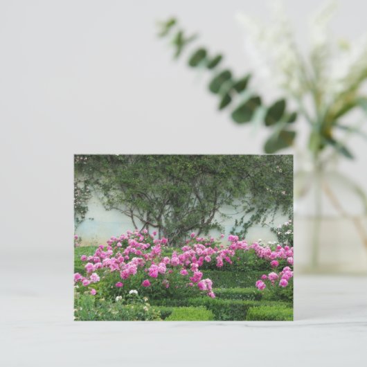 Elegant Roos Briefkaart (Staand voorkant)