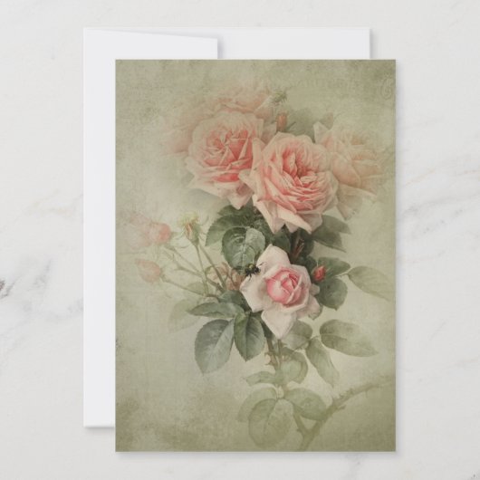  Elegant Roos Floral Sage Green Foliage Bee Kaart (Achterkant)