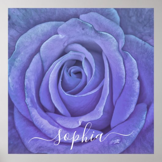 Elegant Roos Flower Photo Add Name Poster (Voorkant)