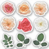 Elegant Roos Garden Kiss Cut vinylsticker plaat Sticker (Voorkant)