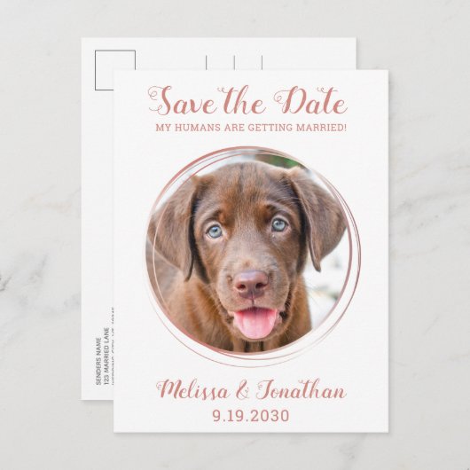 Elegant Roos Gold Custom Pet Photo Dog Weddenschap Aankondigingskaart (Voorkant / Achterkant)