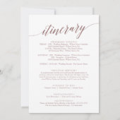 Elegant Roos Gold Wedding Welkomstbrief (Achterkant)