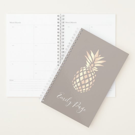 elegant roos gouden anananas & grijs planner (Display)