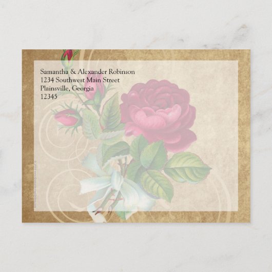 Elegant  Roos, magenta/bruin Aankondigingskaart (Achterkant)