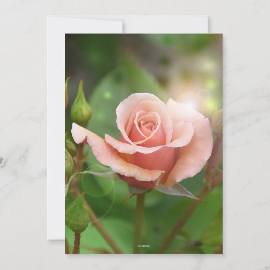 Elegant Roos Relax Garden Retirement Party Kaart (Achterkant)