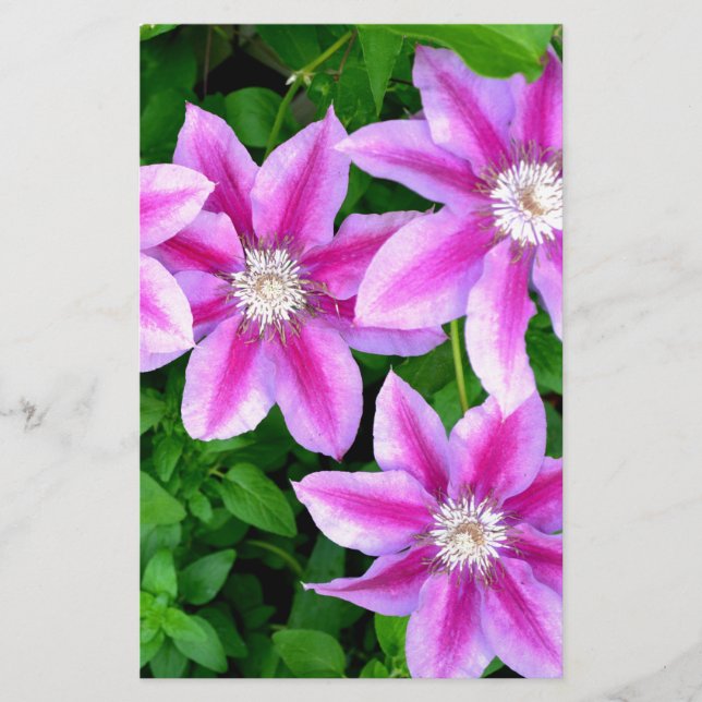Elegant roze bloemen boho groen (Voorkant)