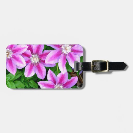 Elegant roze bloemen boho groen bagagelabel (Voorkant horizontaal)