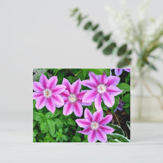Elegant roze bloemen boho groen briefkaart (Staand voorkant)