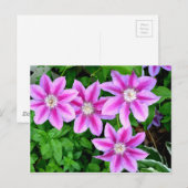Elegant roze bloemen boho groen briefkaart (Voorkant / Achterkant)