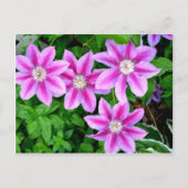 Elegant roze bloemen boho groen briefkaart (Voorkant)