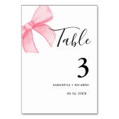 Elegant Roze Bow Vrijgezellenfeest Bruiloft Kaart (Achterkant)