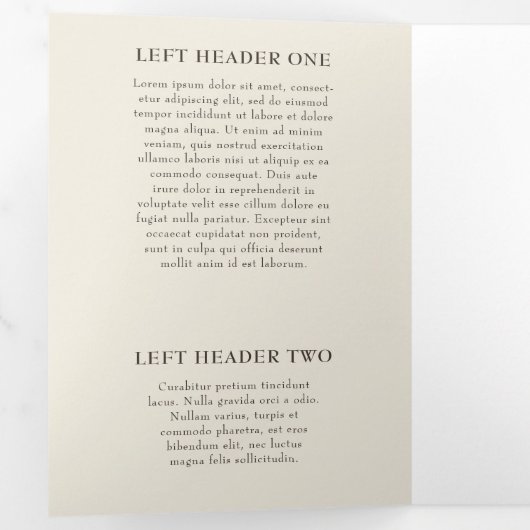 Elegant roze Cherry Blossom Salon Trifold Brochure Drieluik Kaart (Binnenzijde eerst)