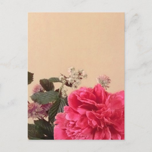 Elegant roze crème Floral Briefkaart (Voorkant)