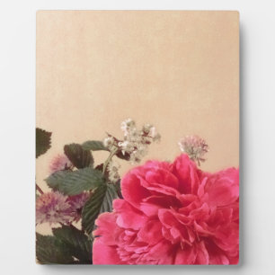 Elegant roze crème Floral Fotoplaat
