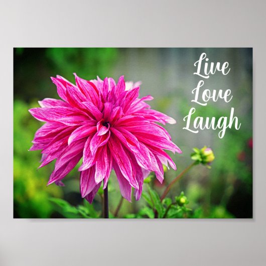Elegant Roze Dahlia Tuinbloem Motivatie Poster (Voorkant)